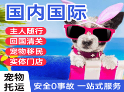 上饶三清山空运国际宠物托运 【国